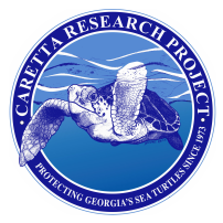 Caretta Research Project